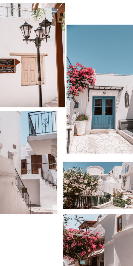 Insights Greece - 10 Things to do on Skyros island