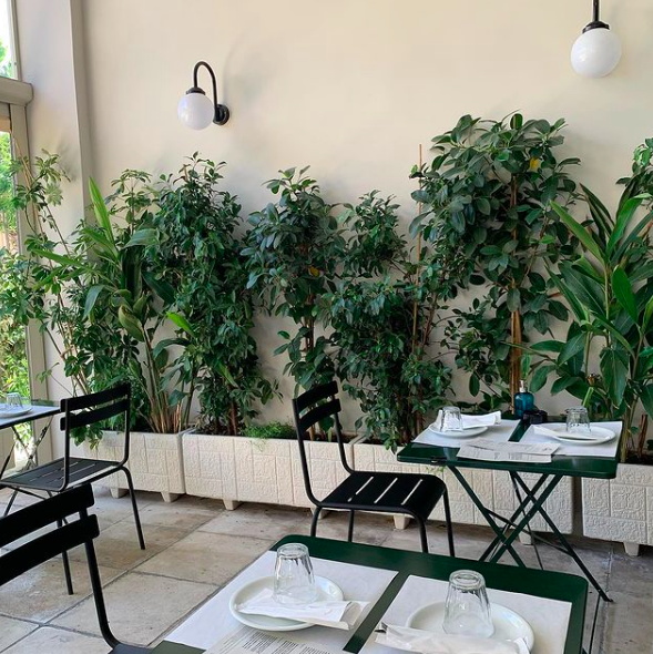 Insights Greece - Athens' New Restaurant Serving Feel-Good Dishes