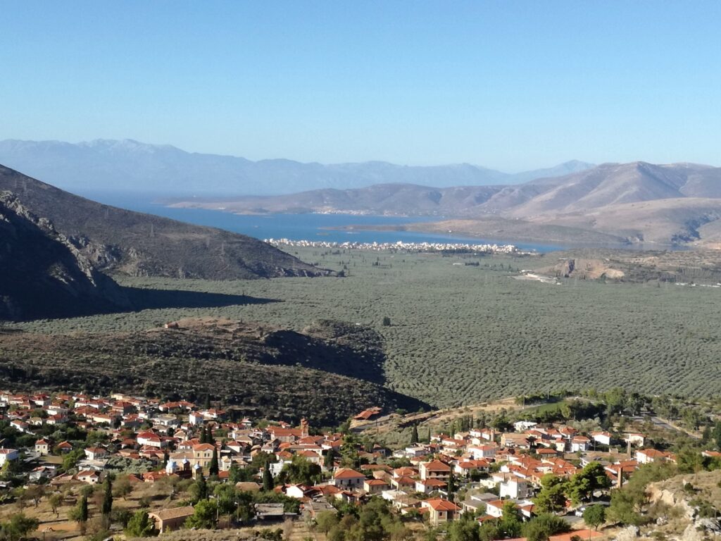 Insights Greece - Delphi, Home to One of the World’s Oldest Olive Groves