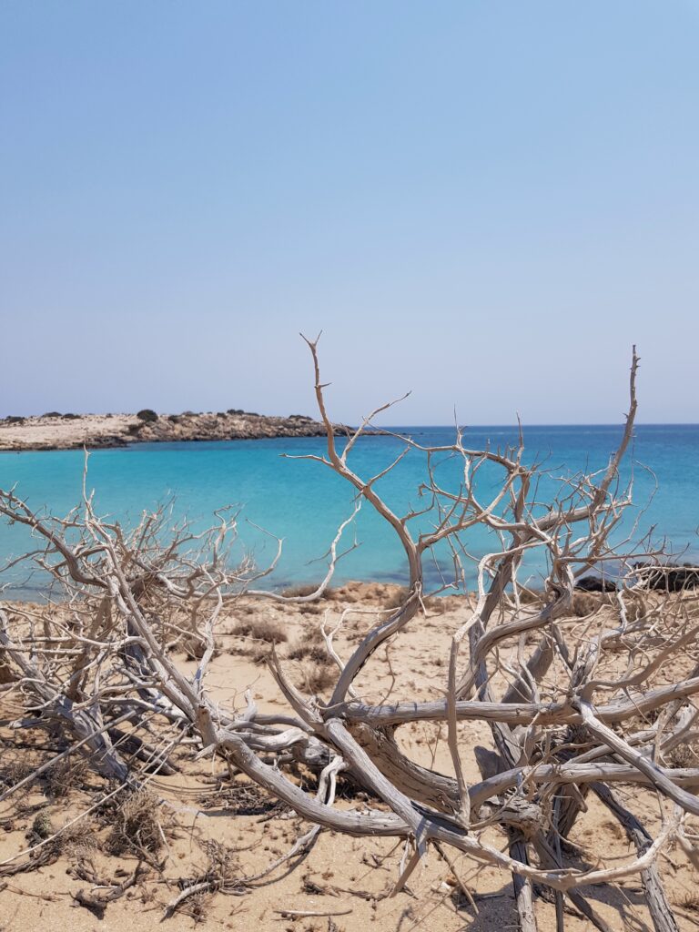 Insights Greece - 7 Reasons to Spend Your Summer in Karpathos