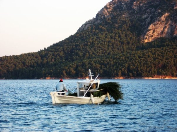 Insights Greece - Honeymooning in Kalamos Island, a Patch of Paradise